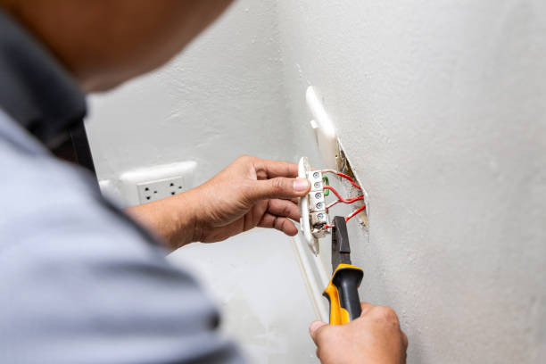 Best Electrical System Inspection  in Demorest, GA